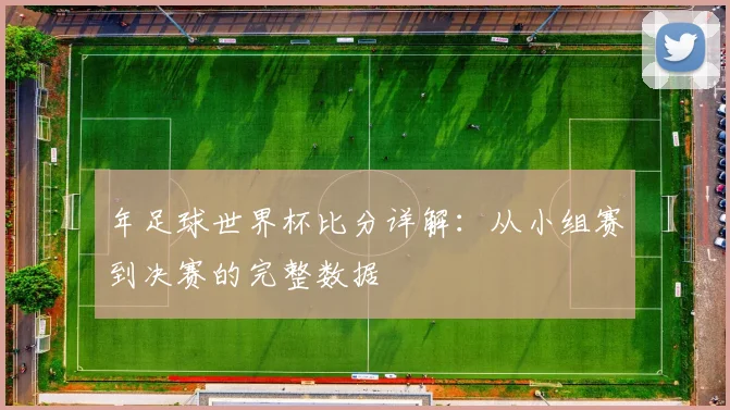年足球世界杯比分详解：从小组赛到决赛的完整数据